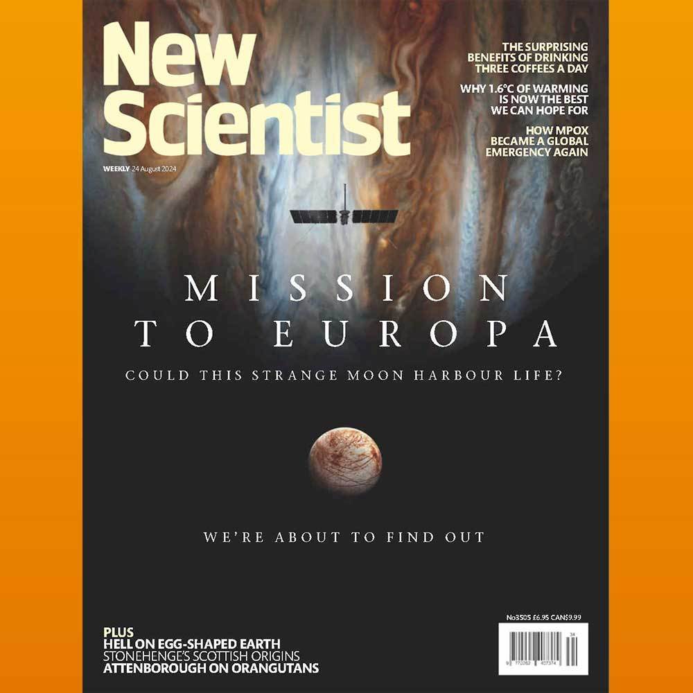 

New Scientist - 24 August 2024 Majalah Import English