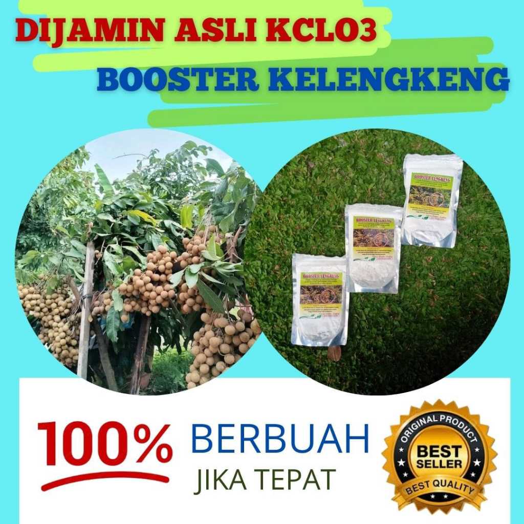 Boster kelengkeng kclo3 murni, Boster lengkeng,  Boster kelengkeng