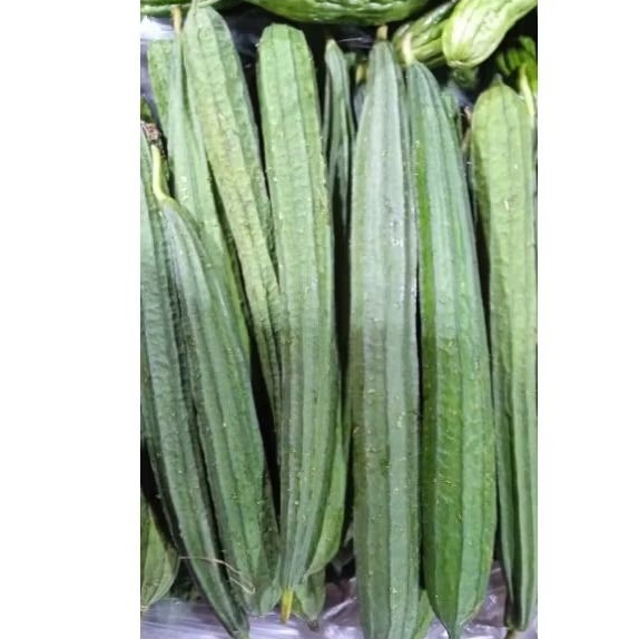 

OYONG/OYONG FRESH/SAYUR MAYUR/SAYUR BERKUALITAS