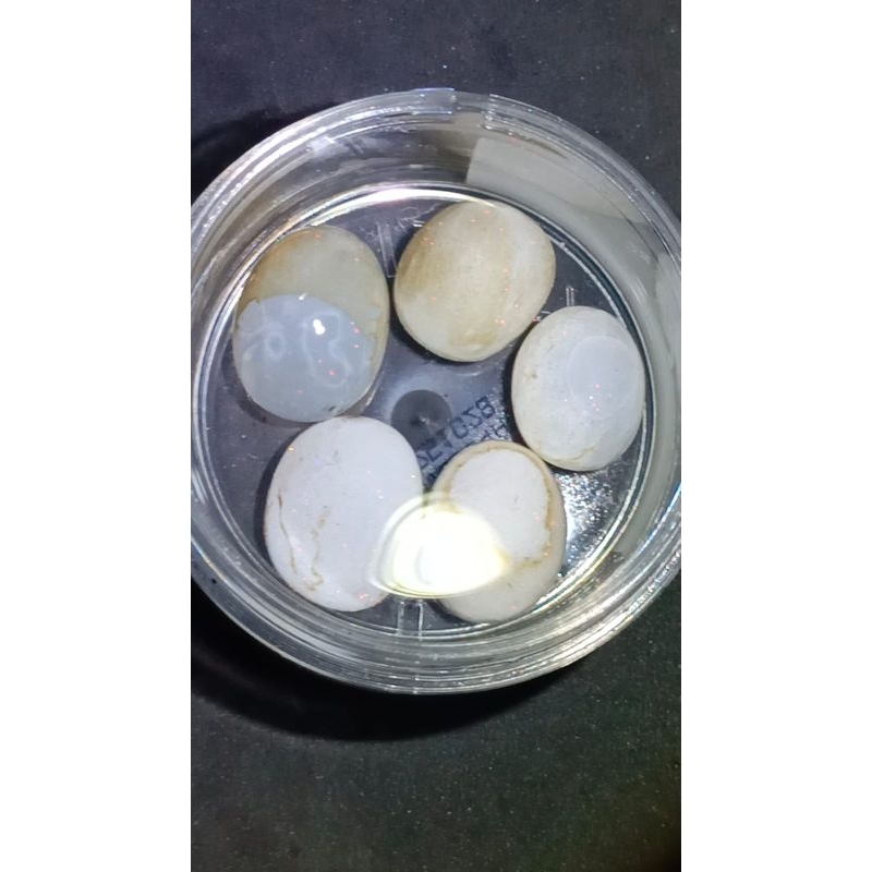 Batu Kalimaya Susu Asli Banten , Ful Jarong Atas Bawah