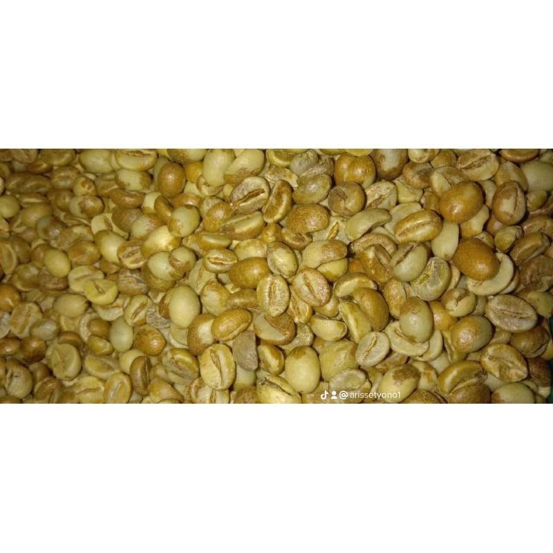 

GREEN BEAN ROBUSTA ANAEROB 1KG