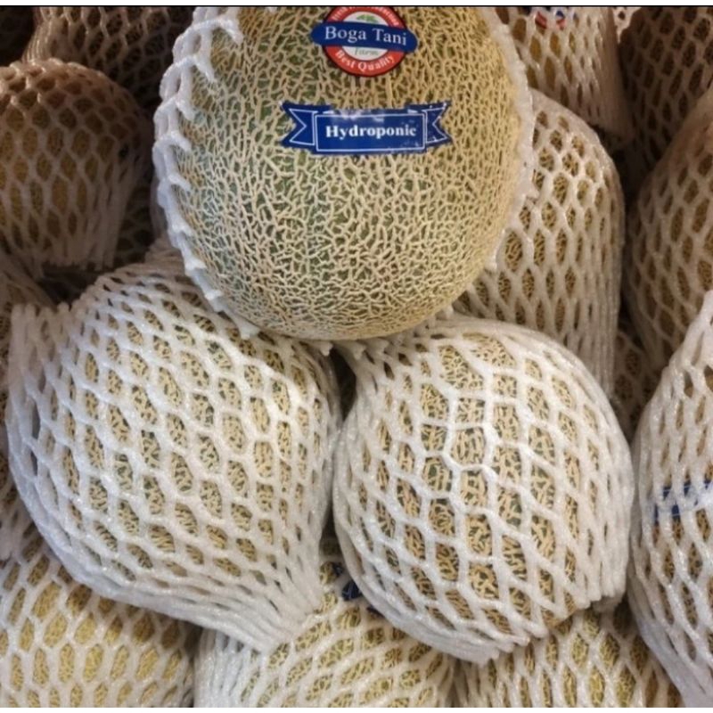 

Melon Hydroponic Bogatani Sweet Lembut Juicy -+1.7kg