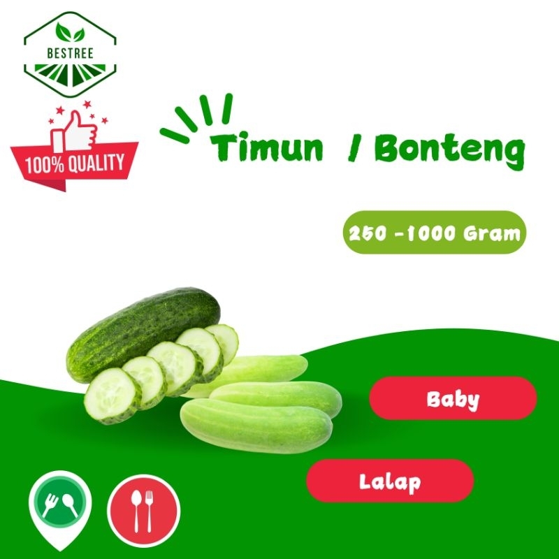 Timun / Bonteng