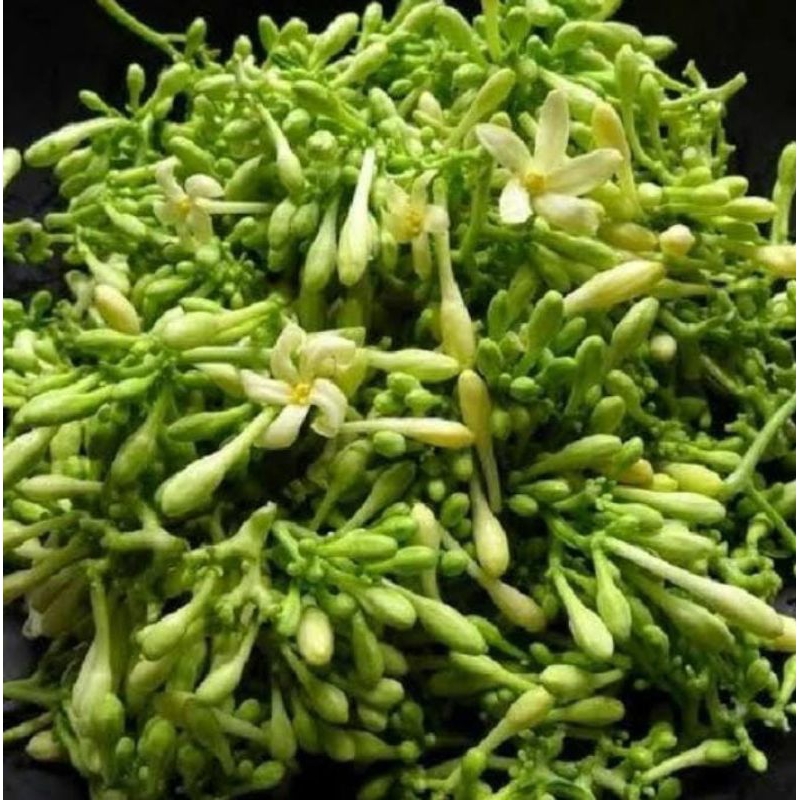

bunga pepaya segar 500g