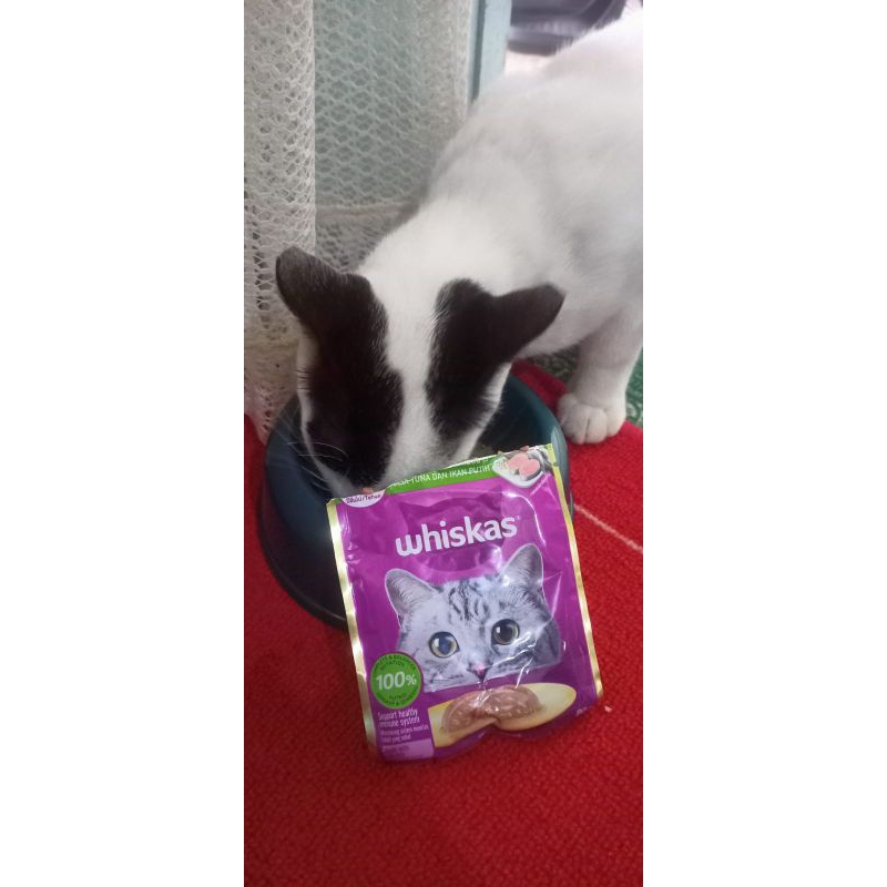 

whiskas