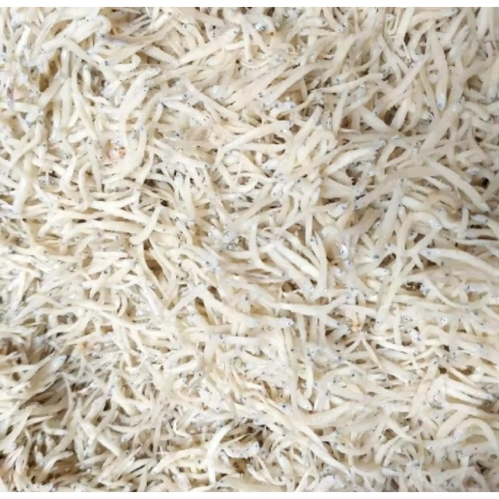 

1kg teri nasi / teri medan best seller