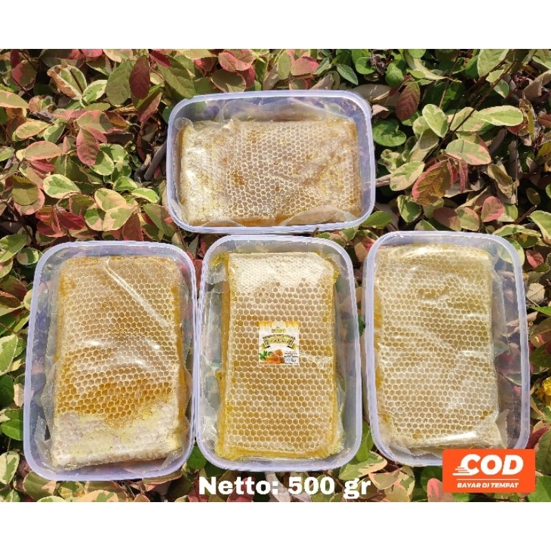 

Madu Sarang 500 gram Original Madu Asli Premium Sarang Madu Madu Murni