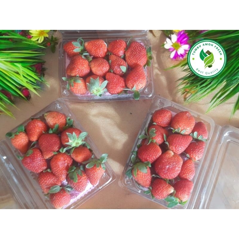 

STRAWBERRY 250 gram