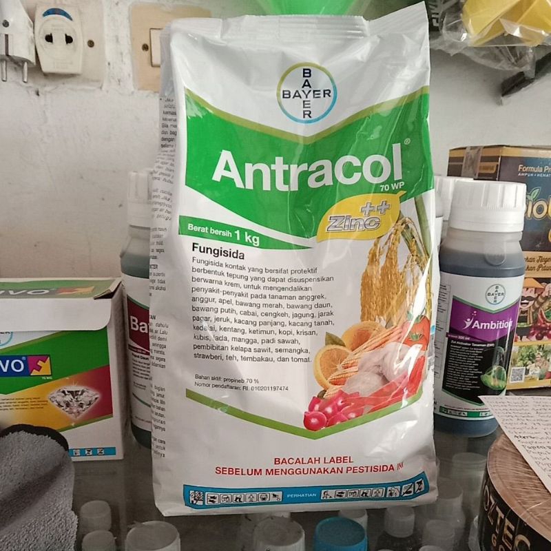 FUNGISIDA ANTRACOL 1 KG