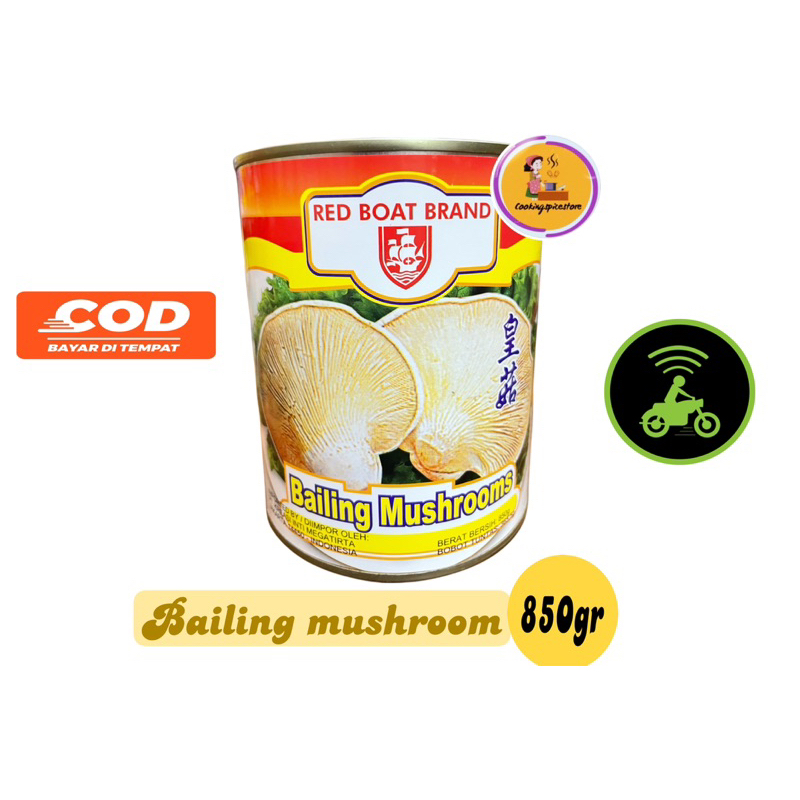 

Jamur Bailing Red Boat Brand 850g / Bailing Mushrooms / Jamur abalone / Jamur Tiram kaleng