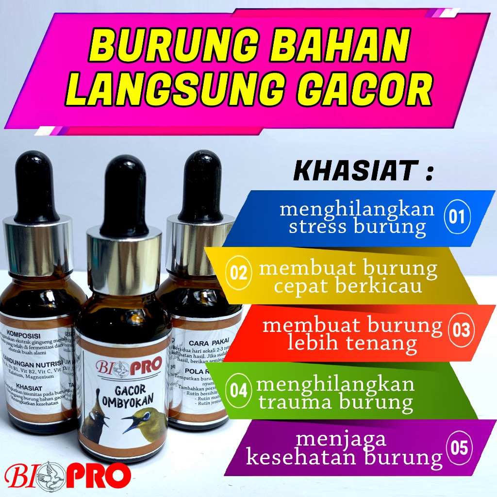 BIOPRO GACOR OMBYOKAN UNTUK BURUNG BAHAN