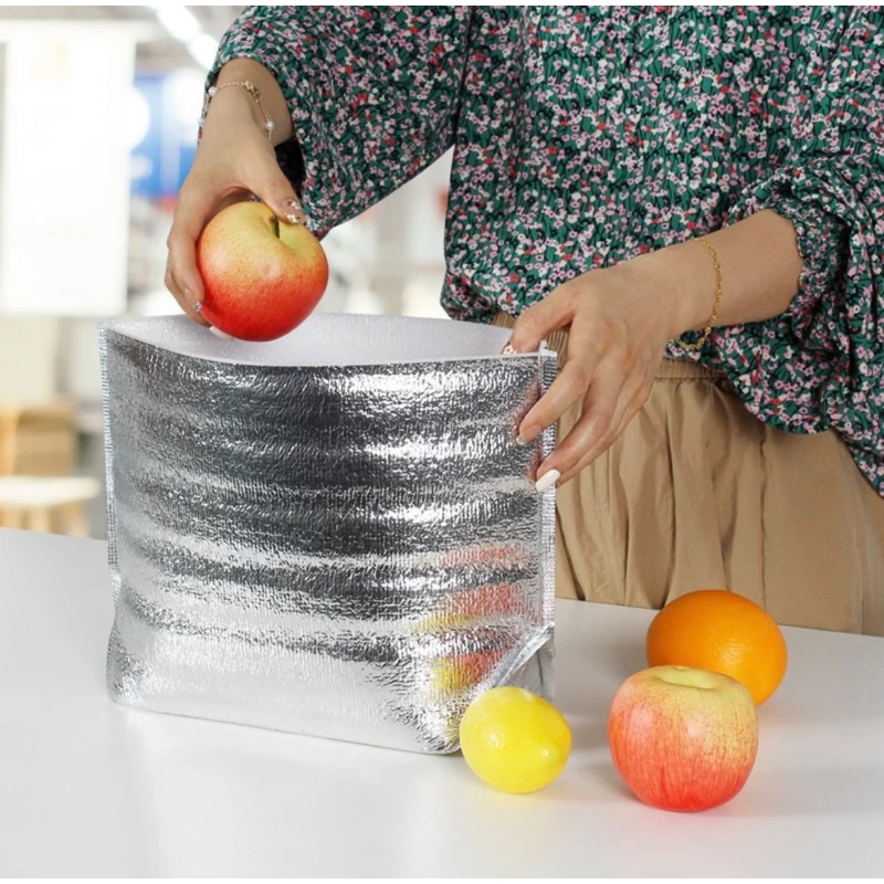 Insulated Thermal Cooler Bag Pouch Thermapack Kantong Packaging Makanan Frozen Food Standing Pouch S