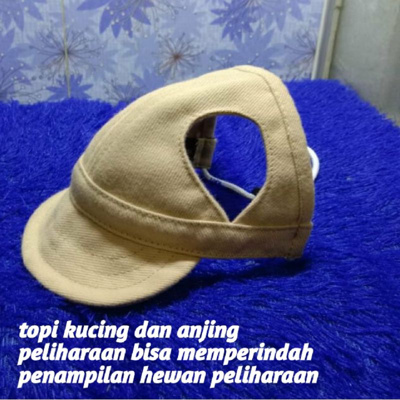 Aksesoris hewan/topi polos/topi kucing hewan peliharaan