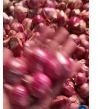 

BAWANG MERAH 1KG