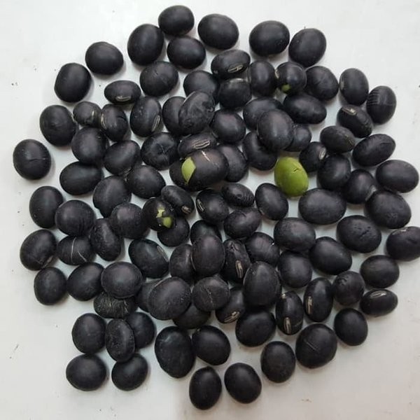 

100gr Black Turtle Bean / Kacang Kedelai Hitam HALAL Kongjaban Kimchi Soybeans