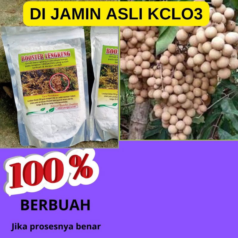 Kualitas Terjamin.. Booster Klengkeng Kclo3, Booster Klengkeng Murni