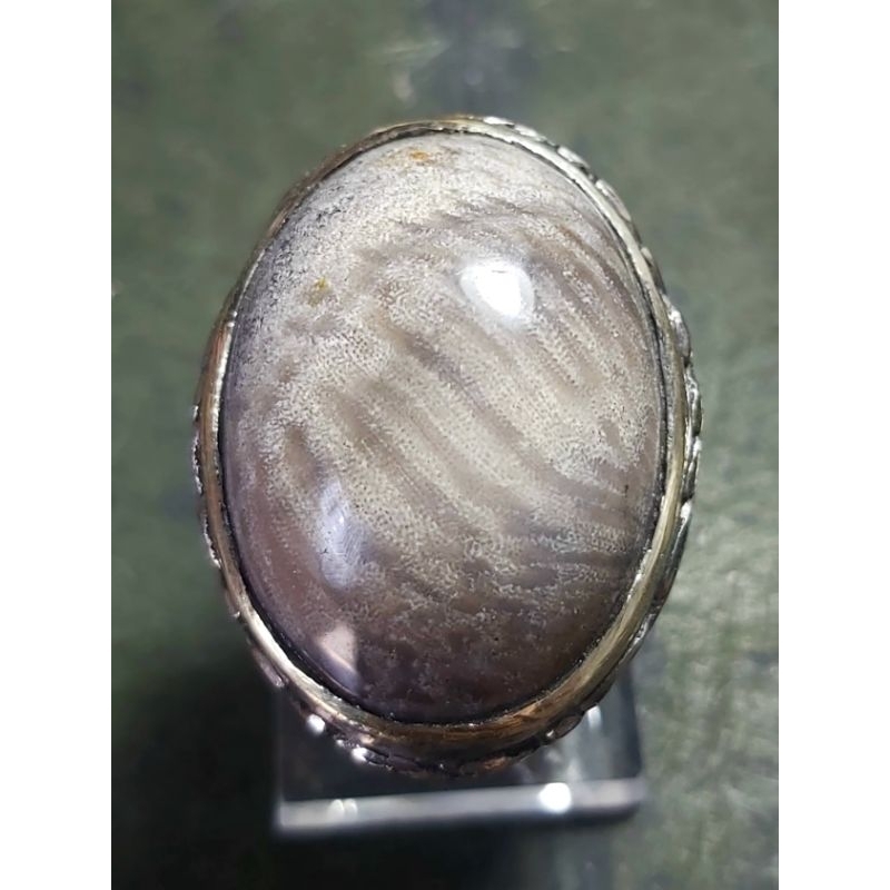 Teratai Kelabang Jumbo