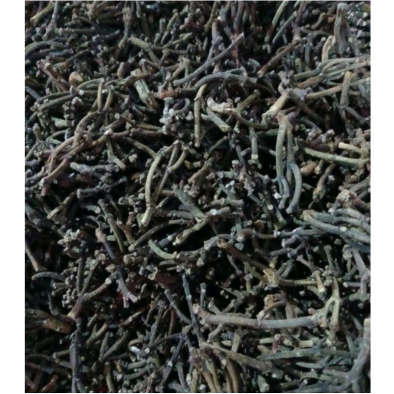 

Gagang Cengkeh kering Premium super Kering