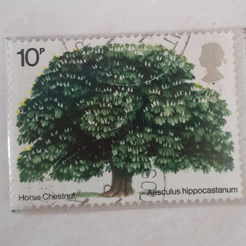 

Perangko Inggris Britania Raya Trees (Horse chestnut) Tahun 1974