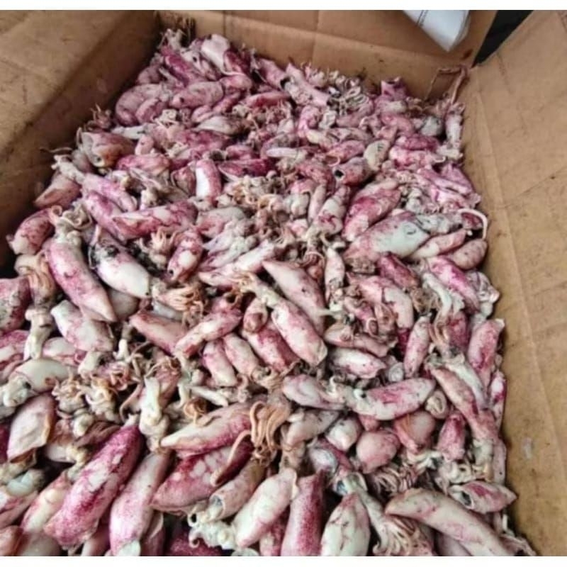 

Cumi Asin ukuran sedang 500 gr -1 kg