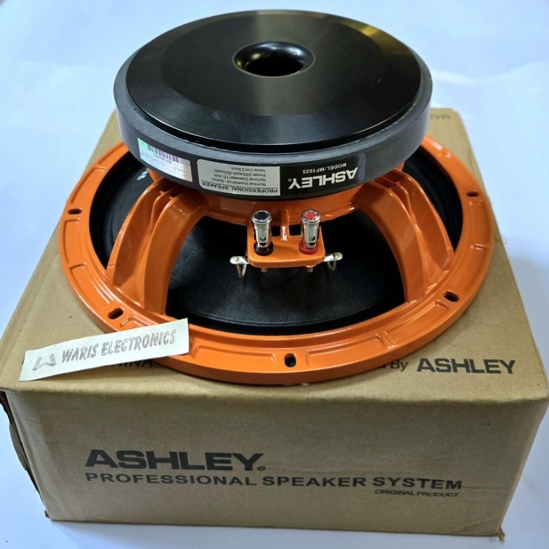 Speaker 10 inch Ashley MF 1025 500W