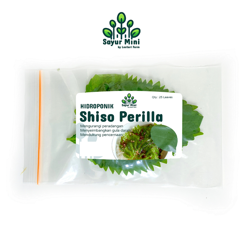 

SAYUR MINI Hidroponik Shiso Perilla / Ohba Jepang 25pcs - Fresh Cut - Hydroponics
