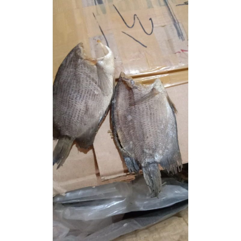 

IKAN ASINTEMBAKANG/asin tembakang/ikan tembakang berat 250/500/1000, gram