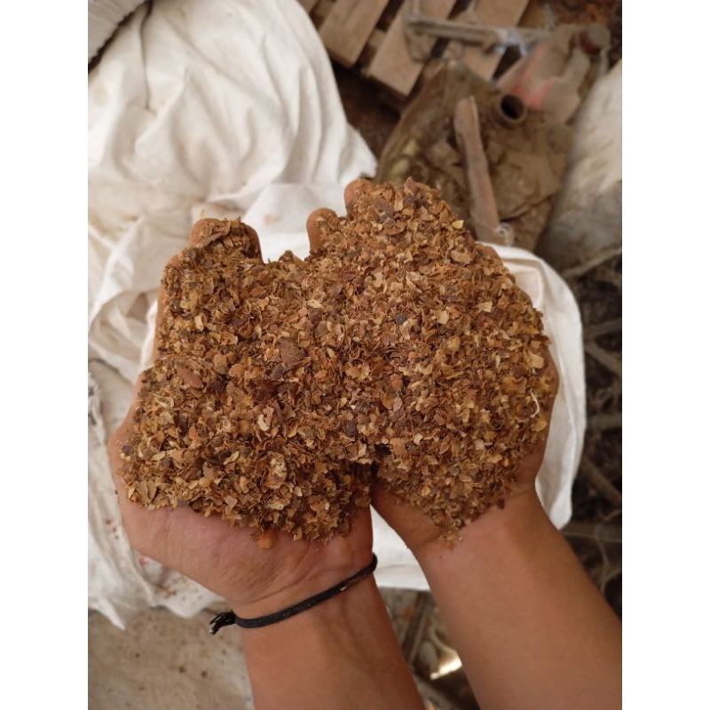 Kulit Kopi Ternak - Bahan Baku Pakan Ternak - 1 kg