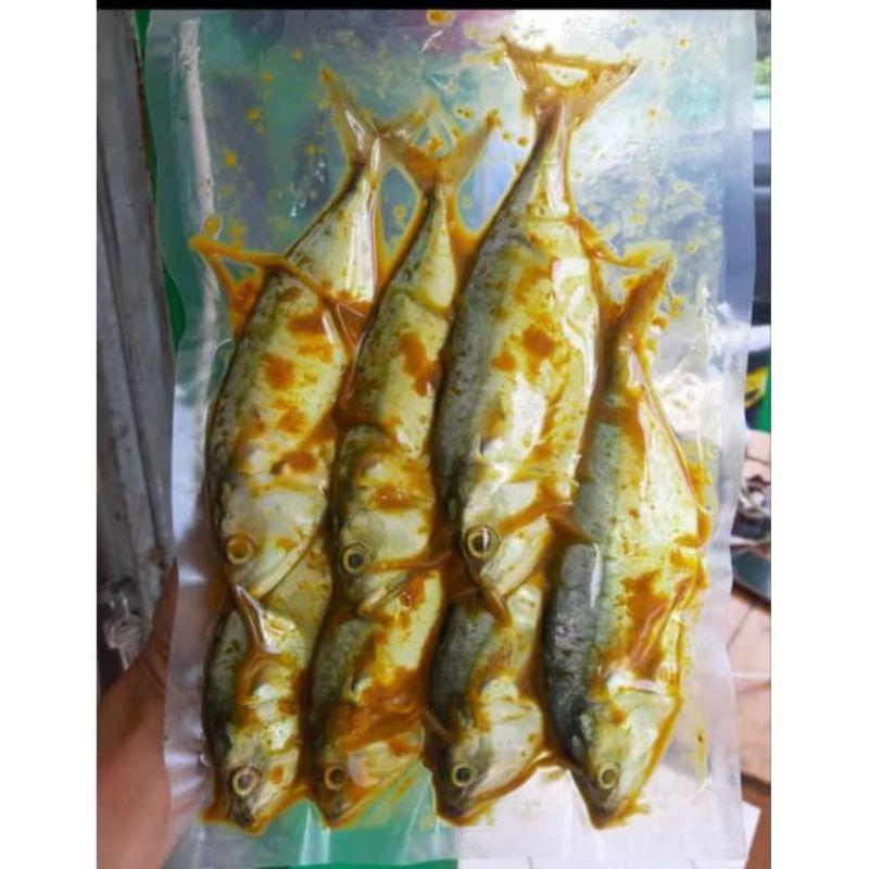 

Ikan Kembung Banjar Bumbu Kuning / ikan segar / frozen food / ikan kembung / seafood / makanan