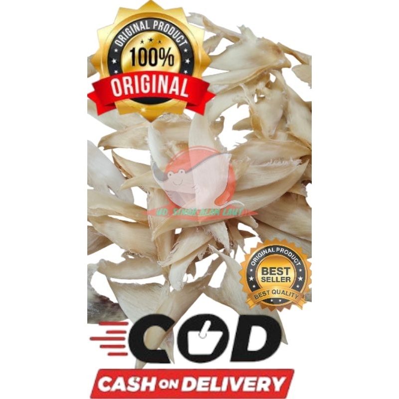 

HISIT Ng Chi Fish Tail dried shark 100gr