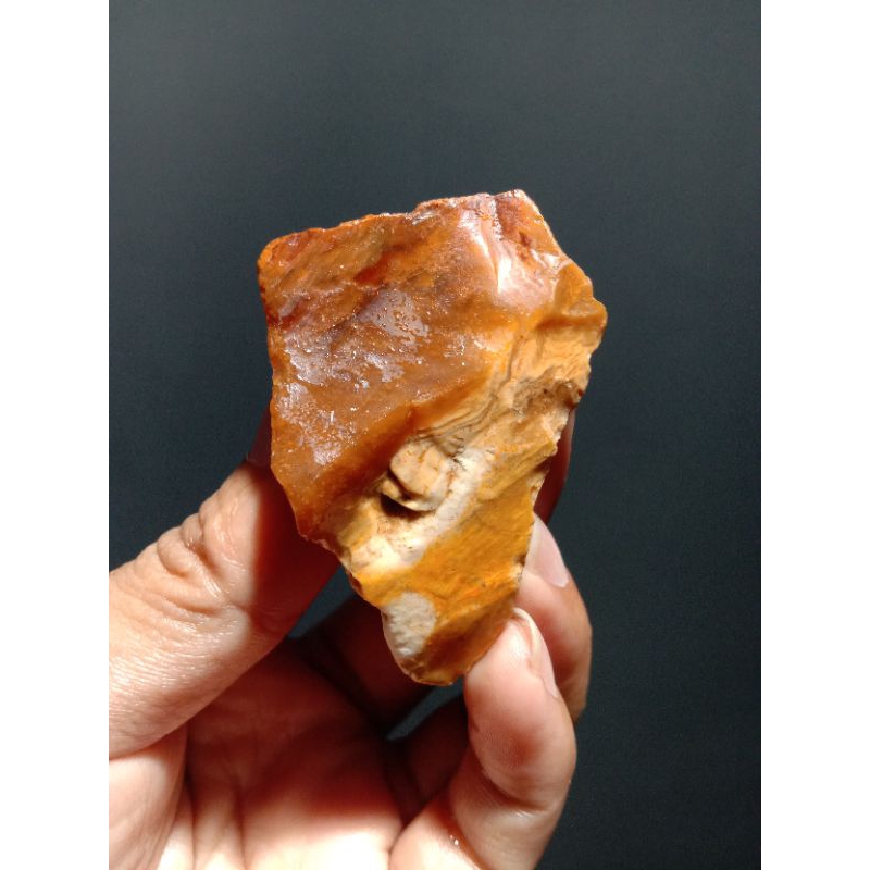 Rough Bahan Fosil Galih Asem