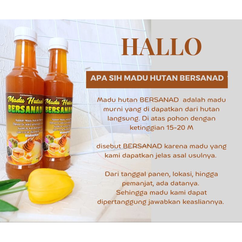 

Madu Hutan murni asli | madu bersanad