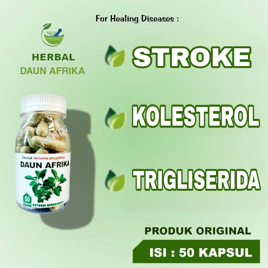 PROMO HERBAL STROKE OBAT STROK JAMU KOLESTEROL HIPERTENSI KEBAS KESEMUTAN KRAM DAUN AFRIKA ISI 50