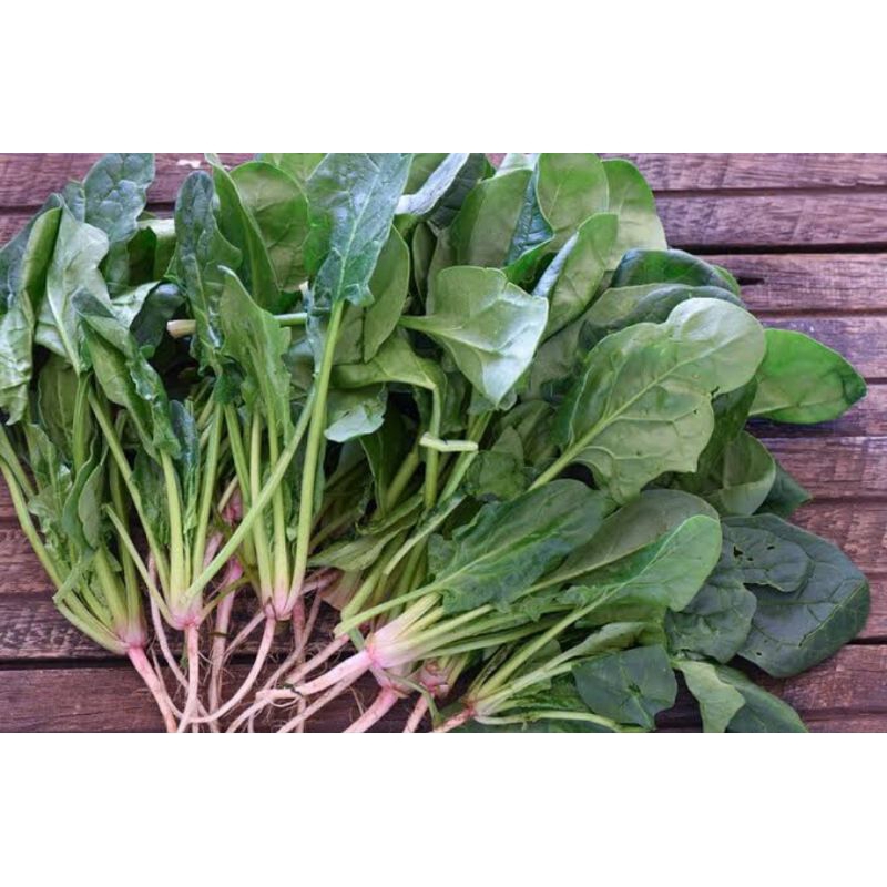 

Spinach|Bayam Jepang|Horenso|sayur|sehat