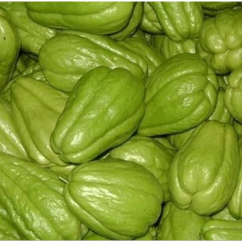 

Labu Siam | Labu | Waluh Jepan | Waluh Jipang