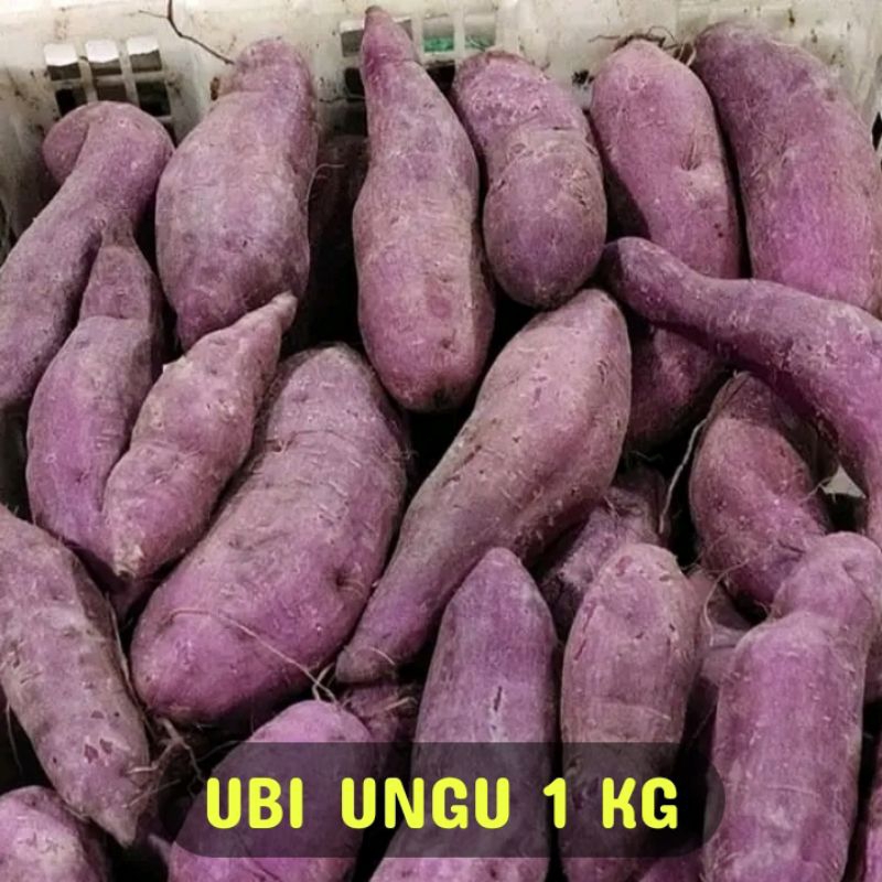 

UBI UNGU 0RGANIK 1 KG MENTAH