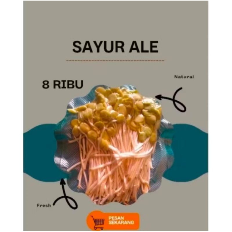 

Cambah Ale fresh super murah