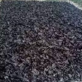 Daun ketapang Laut Olahan super pekat