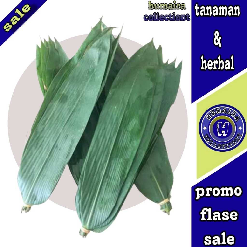 

Daun Bambu Besar Bungkus Bakcang 100 Lembar Humaira Collectiont