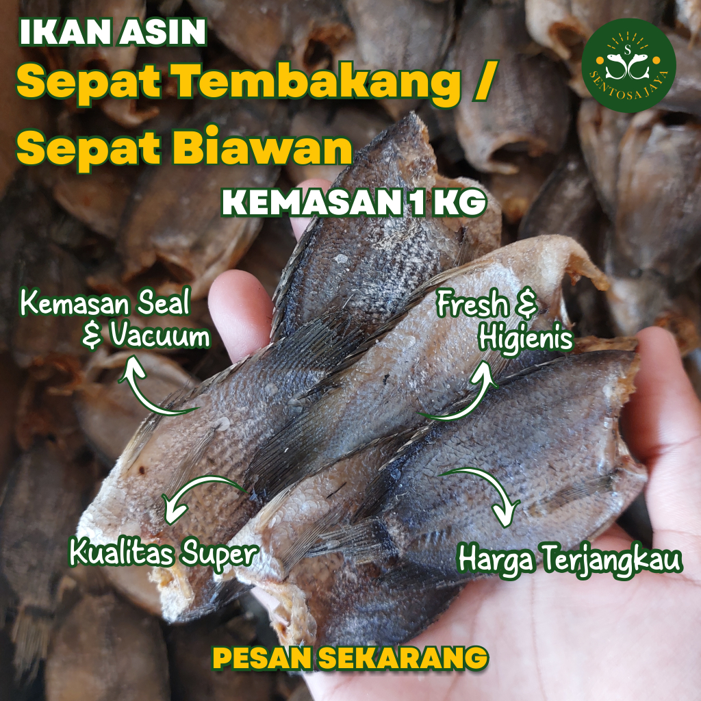 

Ikan Asin Biawan / Tembakang 1 KG Ikan Asin Sepat Biawan / Tembakang