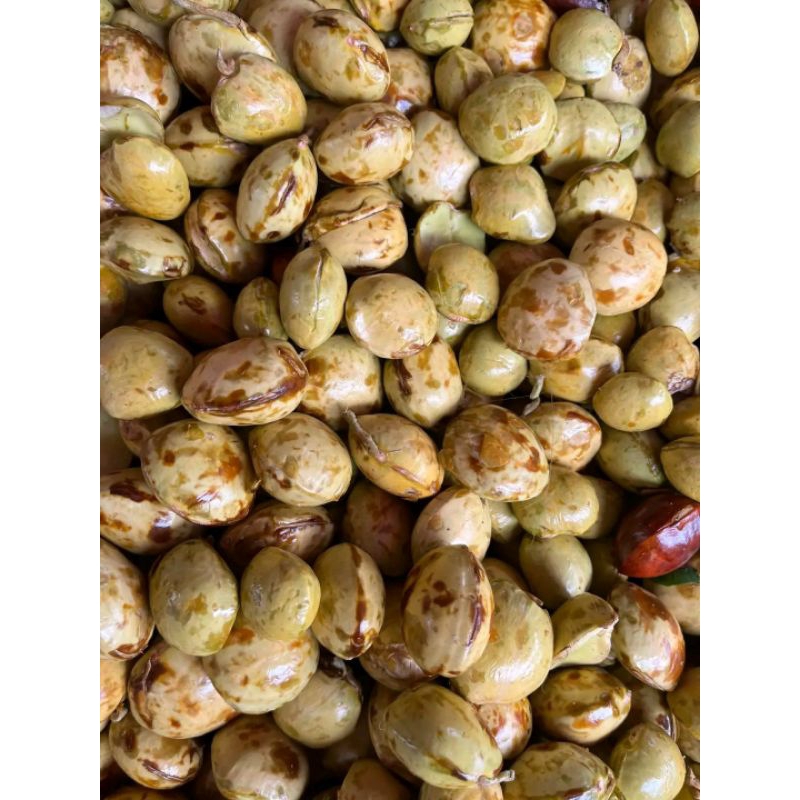 

1KG JENGKOL TUA SUPER