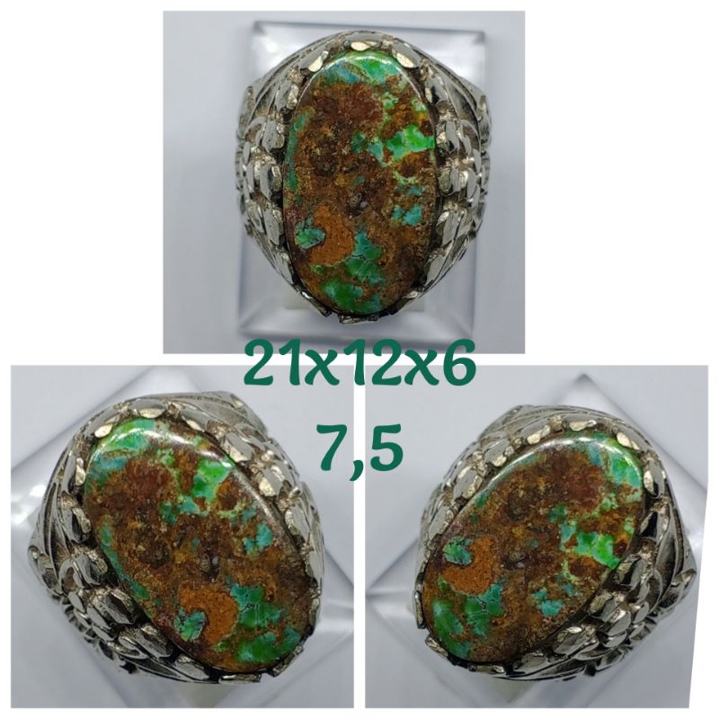 Pirus Persia lawasan