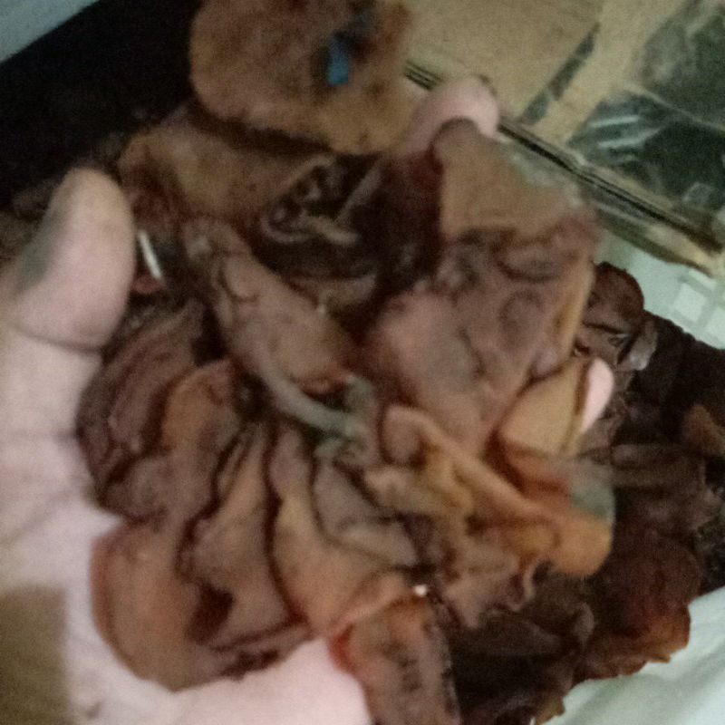 

asam gelugur (Kandis) 500 gr
