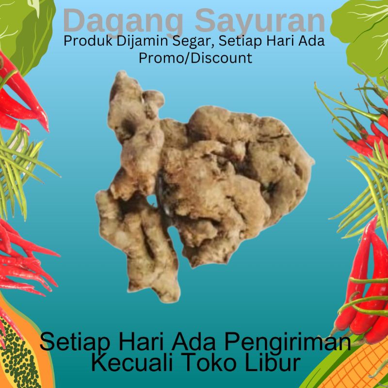 

JAHE EMPRIT/BUMBU SEGAR/BUMBU DAPUR/BUMBU MASAK/JUAL BUMBU/DAGANG BUMBU/PEDAGANG BUMBU/PENJUAL BUMBU/DAGANG SAYURAN/SERPONG/BSD/BINTARO/CIPUTAT/TANGERANG SELATAN/TANGSEL