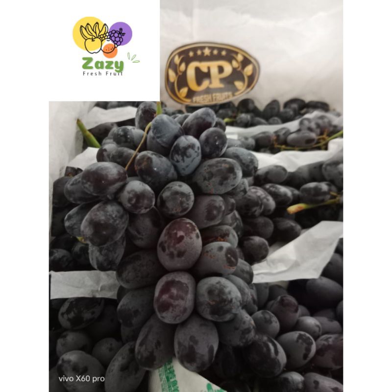 

ANGGUR AUTUMN IMPORT ROYAL CHINA CP/KG MANIS, TANPA BIJI