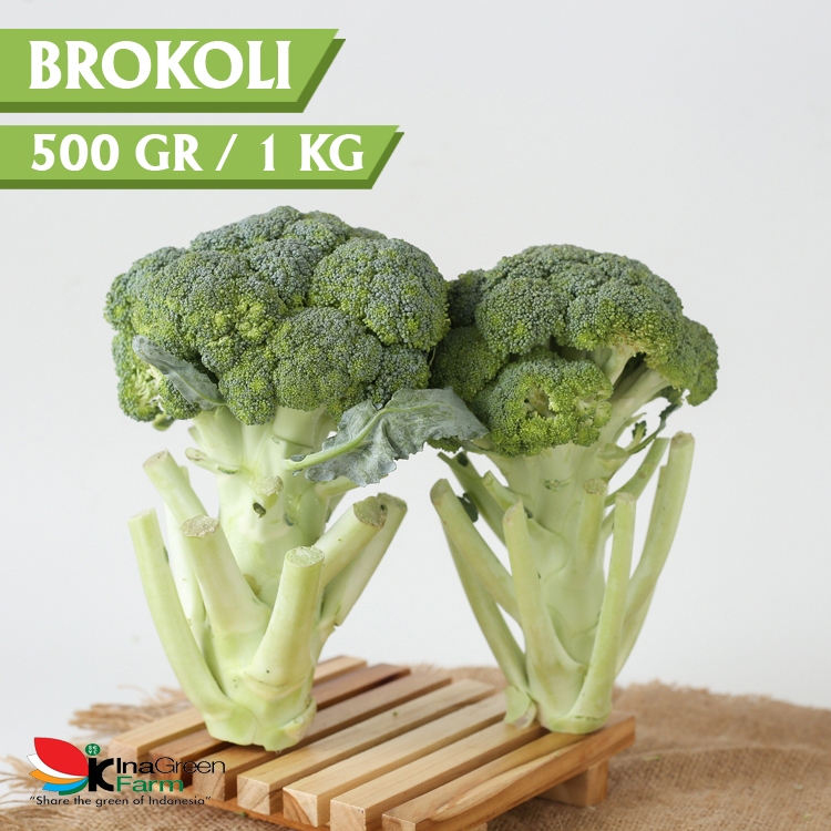 

Inagreen Farm Bandung Sayur Brokoli Fresh Inagreen 500 Gr