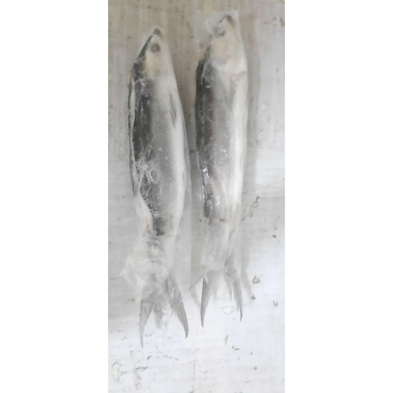 

BANDENG CABUT DURI 450-500GR/PACK