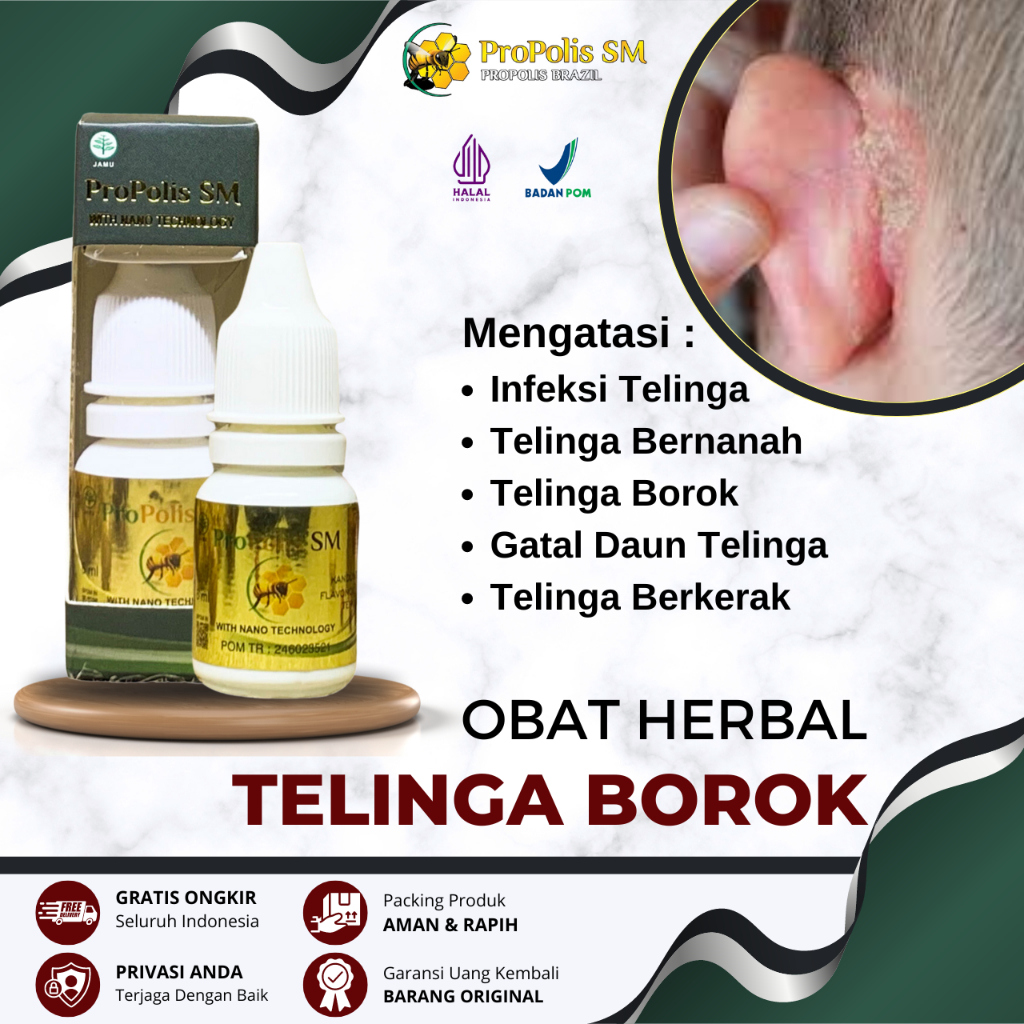 Obat Borok di Telinga Gatal Bernanah Berair Budug Infeksi Telinga Kering Mengelupas Iritasi, Obat Ga