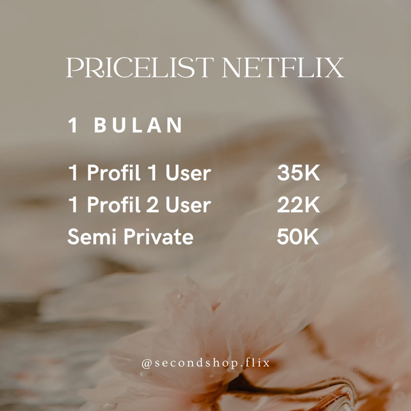 NETFLIX 1 Bulan 1P1U