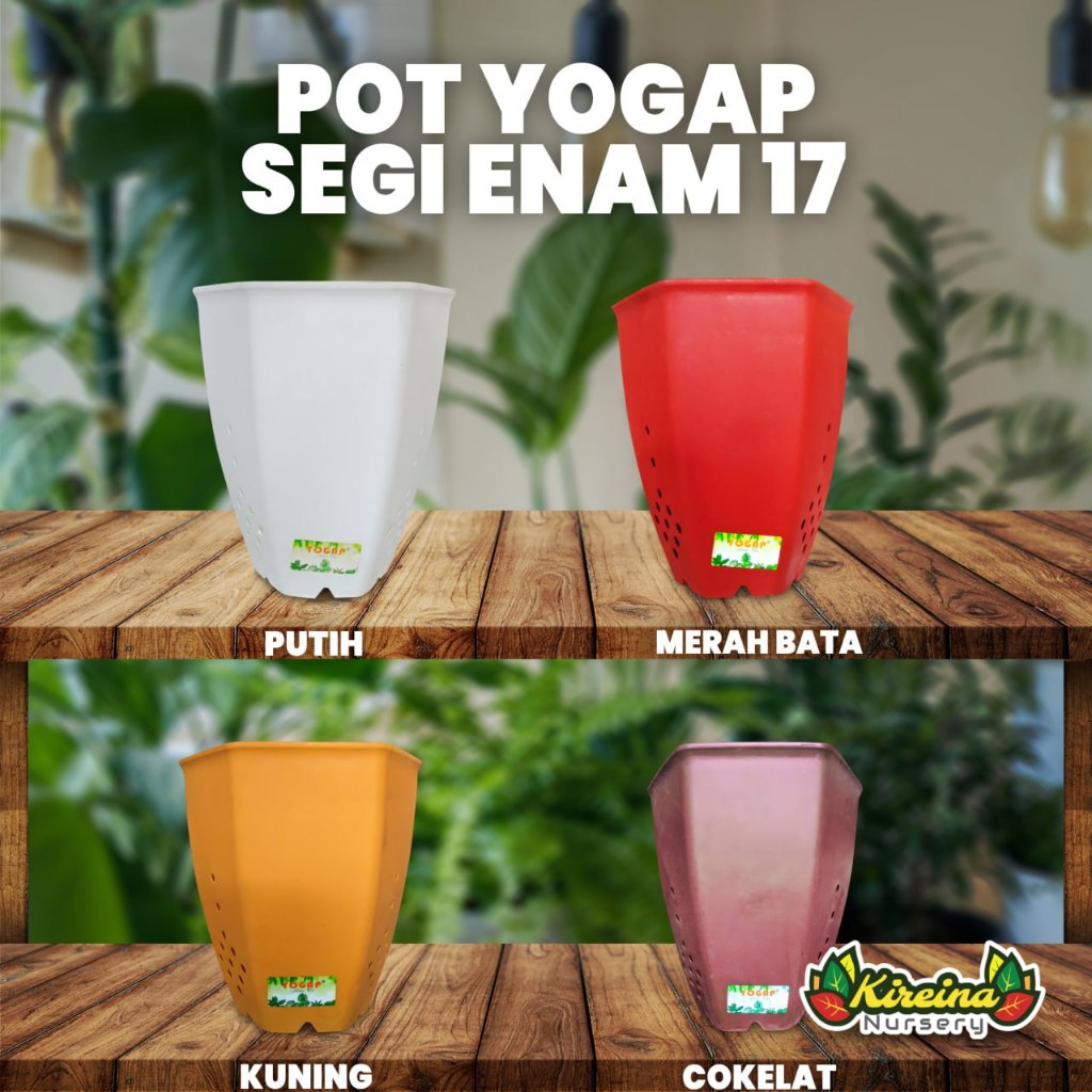 Pot Yogap Segi Enam 17
